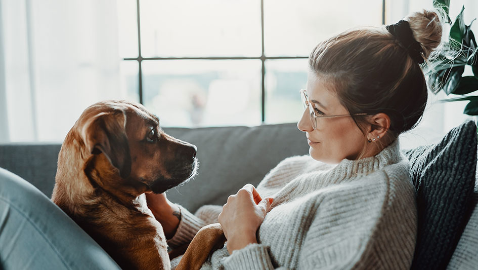 Are Air Purifiers a Waste of Money?