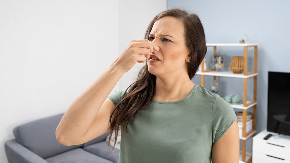 Six Common Air Conditioner Smells Decoded and How to Solve Them